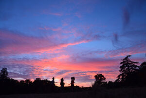 Boisbuchet sunset 01